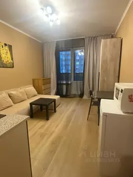 Студия Ленинградская область, Кудрово г. Всеволожский район, Заневское ...