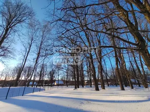 Участок в Калужская область, Дзержинский муниципальный округ, Льва ...
