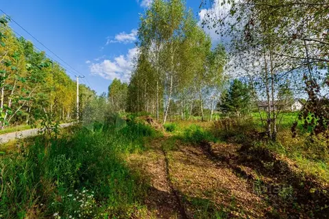 Участок в Тюменская область, Нижнетавдинский муниципальный округ, ...