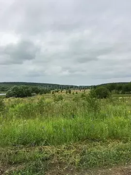 Участок в Московская область, Луховицы муниципальный округ, д. ...