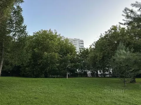 3-к кв. Москва ул. Удальцова, 6 (57.4 м)