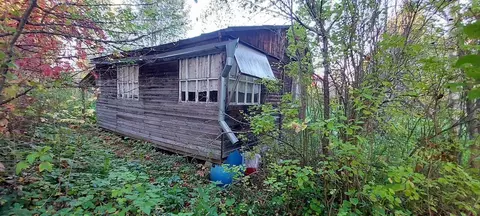 Участок в Московская область, Можайский муниципальный округ, д. ...