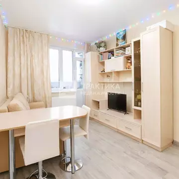 Студия Московская область, Старая Купавна Богородский городской округ, ...