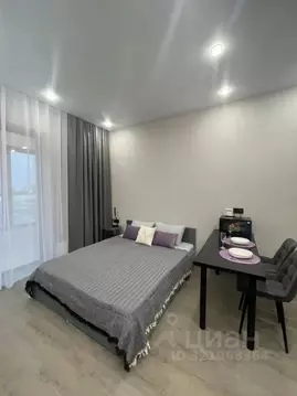 Студия Новосибирская область, Новосибирск Красный просп., 220 (33.0 м)