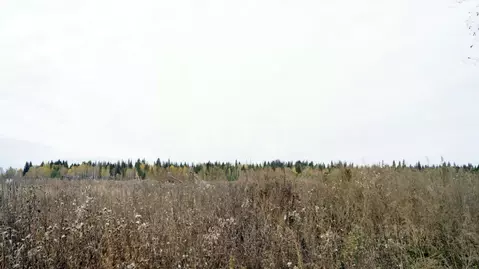 Участок в Свердловская область, Тугулымский муниципальный округ, с. ...