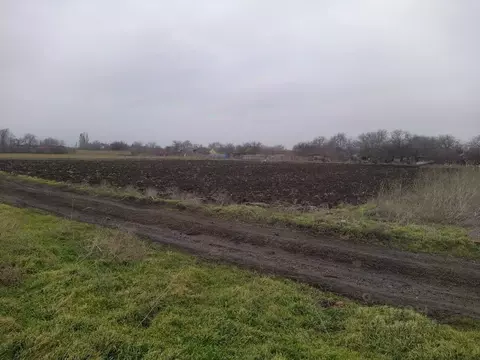 Участок в Краснодарский край, Ейский район, Александровское с/пос, с. ...