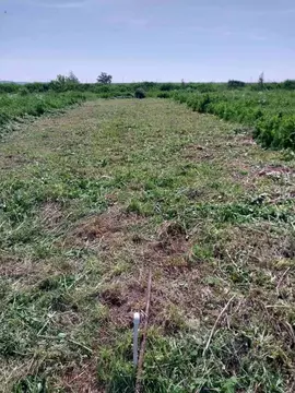 Участок в Пермский край, Култаево СНТ ул. Ясеневая, 11 (7.0 сот.)