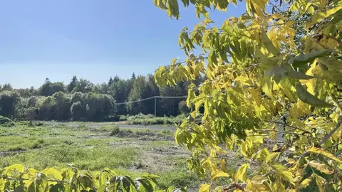 Участок в Московская область, Наро-Фоминский городской округ, Кедрица ...