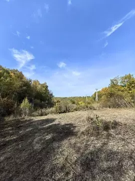 Участок в Амурская область, Благовещенск Игнатьевское ш. (11.3 сот.)