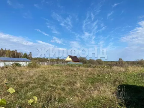 Участок в Томская область, Томский район, с. Тахтамышево ул. Березовая ...