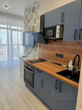 Студия Новосибирская область, Новосибирск ул. Шевченко, 19/1к2 (29.0 ...