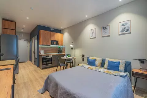 Студия Санкт-Петербург просп. Энергетиков, 8к2 (25.0 м)