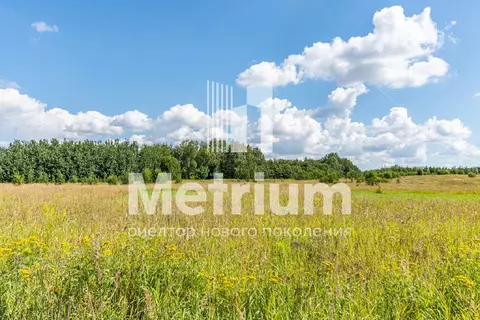 Продается участок в ДСК Зеленая лощина