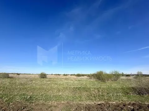 Участок в Тюменская область, Тюменский муниципальный округ, д. Елань ...