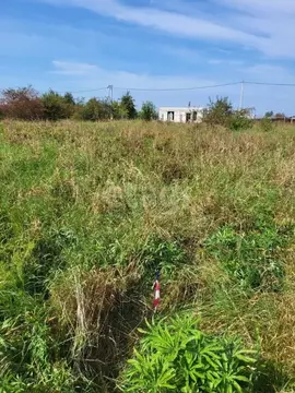 Участок в Калининградская область, Гурьевский муниципальный округ, ...