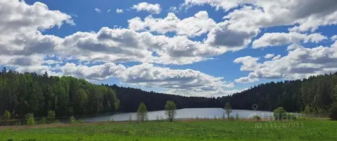 Участок в Ленинградская область, Выборгский район, Каменногорское ...