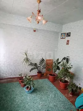 3-к кв. Вологодская область, пос. Кипелово 3 (50.0 м)