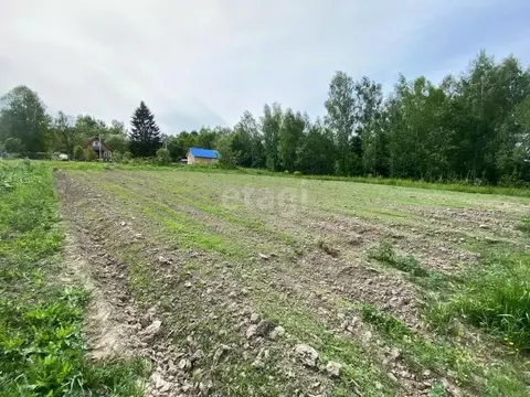Участок в Калужская область, Перемышльский муниципальный округ, ...