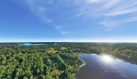 Участок в Тверская область, Вышний Волочек  (430.1 сот.)