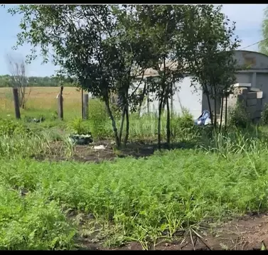 Участок в Башкортостан, Уфимский район, Жуковский сельсовет, Локомотив ...