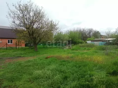 Участок в Краснодарский край, Ейское городское поселение, пос. ...