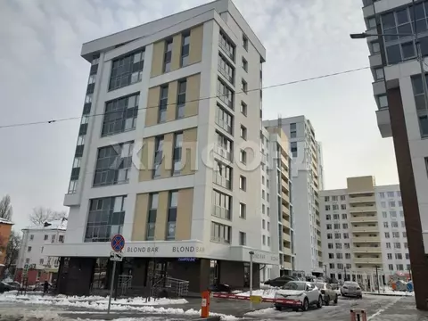 Студия Белгородская область, Белгород ул. Попова, 31 (31.0 м)