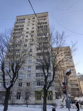 3-к кв. Пермский край, Пермь Екатерининская ул., 133 (56.0 м)