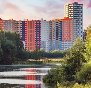 Студия Московская область, Балашиха ул. Яганова, 5 (21.5 м)