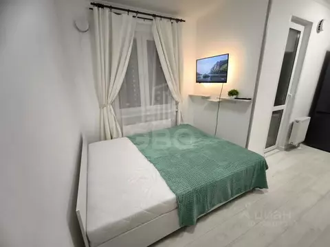 Студия Санкт-Петербург дор. Муринская, 8к2 (23.0 м)