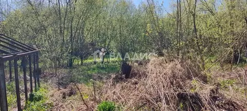 Участок в Нижегородская область, Нижний Новгород Родник садоводческое ...