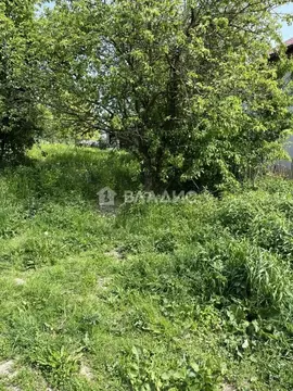 Участок в Калининградская область, Калининград Золотой Петушок ДНТ, ...