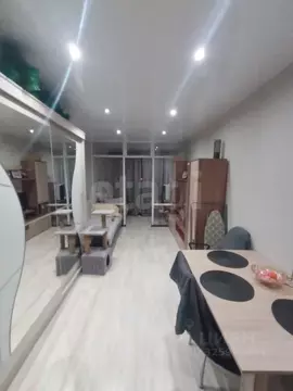 Студия Вологодская область, Вологда ул. Карла Маркса, 121 (28.5 м)