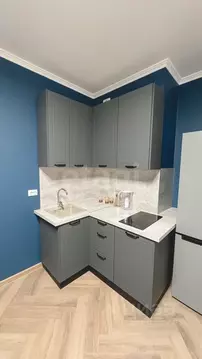 Студия Санкт-Петербург ул. Русановская, 24 (25.0 м)