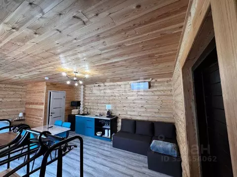 Дом в Алтай, Майминский район, с. Соузга Центральная ул., 47 (29 м)