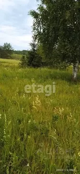 Участок в Вологодская область, Дубрава садоводческое товарищество 69 ...