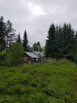 Участок в Ленинградская область, Выборгский район, Первомайское с/пос, ...
