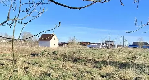 Участок в Ленинградская область, Ломоносовский район, Оржицкое с/пос, ...