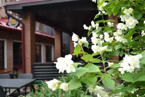 Комната Татарстан, Казань ул. Баумана, 68 (10.0 м)