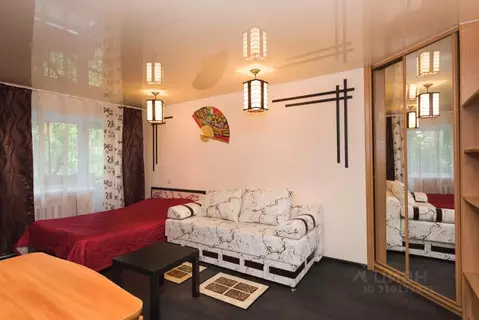 1-к кв. Свердловская область, Екатеринбург ул. Московская, 42 (20.0 м)