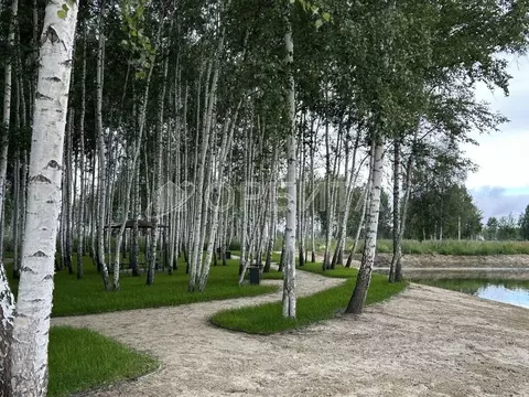 Участок в Тюменская область, Нижнетавдинский муниципальный округ, ...