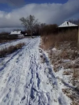 Участок в Рязанская область, Спасский район, Киструсское с/пос, с. ...