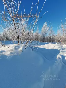 Участок в Башкортостан, Дюртюли Калмыковская ул. (16.0 сот.)