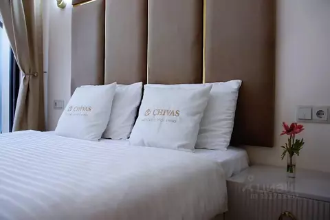 1-к кв. Краснодарский край, Сочи Светлана мкр, ул. Депутатская, 10Г ...