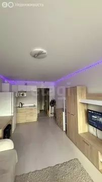 Квартира-студия: Киров, Первомайский район, Заводская улица, 16 (23.4 ...