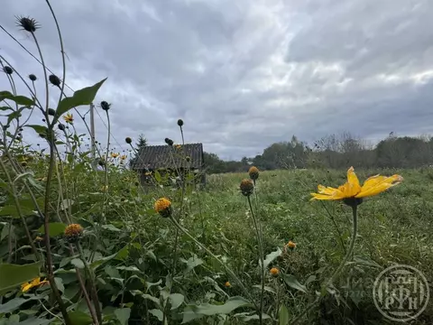 Участок в Ленинградская область, Лужский район, д. Ретюнь  (18.0 сот.)