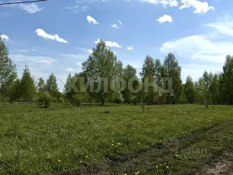 Участок в Новосибирская область, Мошковский район, с. Сокур ...