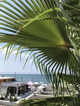 2-к кв. Краснодарский край, Сочи Центральный мкр, ул. Воровского, 19 ...