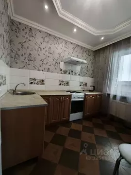 1-к кв. Московская область, Домодедово Южный мкр, ул. Курыжова, 15 ...