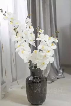 1-к кв. Вологодская область, Вологда ул. Гоголя, 99 (32.0 м)