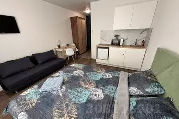 1-к кв. Свердловская область, Екатеринбург ул. Малышева, 42А (28.0 м)